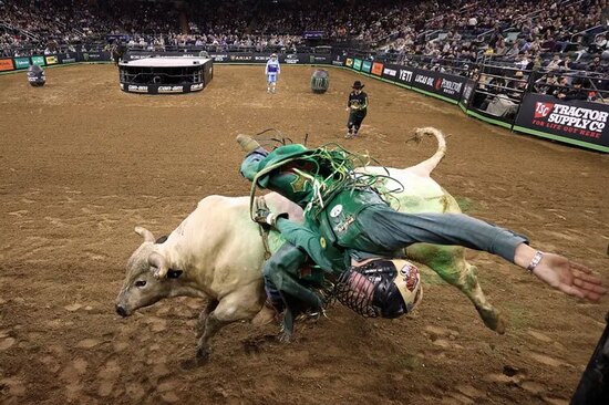 دیدنی های امروز؛ از شورش طرفداران رییس جمهوری سابق برزیل تا کافه شناور مسابقه استقامت روی گاو وحشی در نیویورک