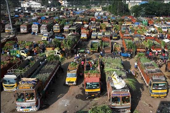 دیدنی های امروز؛ از سال نو چینی تا جنگ اوکراین بازار عمده فروشی گیاهان زردچوبه و نیشکر در شهر چنای هند