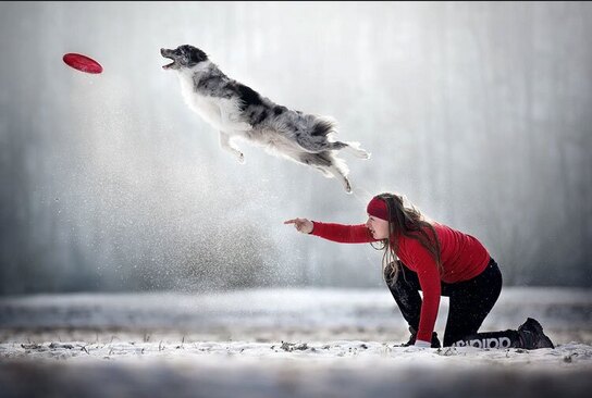 عکس های برگزیده مسابقات بین المللی سالانه عکاسی از سگ در سال 2022