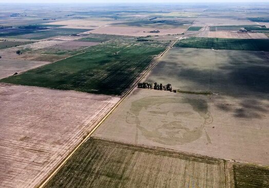 درست کردن تصویر چهره "لیونل مسی" بازیکن افسانه ای فوتبال آرژانتین روی مزرعه ذرت در آرژانتین