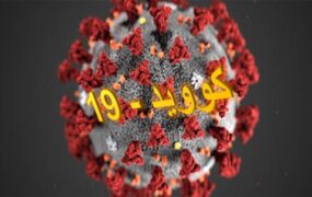 آمارکرونا