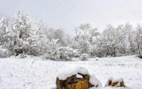 تعطیلی تهران در روز یکشنبه