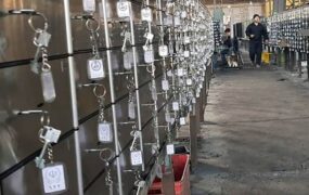 سارقان صندوق امانات بانک ملی ترکیه