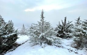 بوستان کوهسار تعطیل