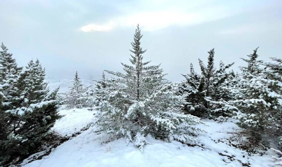 بوستان کوهسار تعطیل