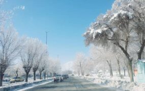 درختان یخ زده شهرکرد