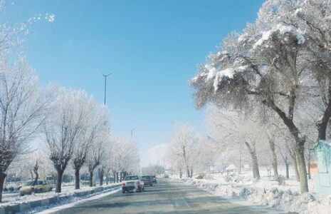 درختان یخ زده شهرکرد