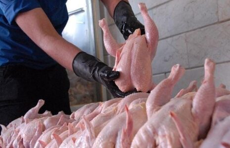 قیمت هر کیلو مرغ در میادین میوه و تره بار قیمت مرغ
