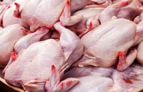 مرغ کمتر از قیمت مصوب عرضه می شود قیمت مرغ