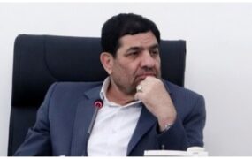 مخبر