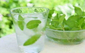 نعنا گیاه دارویی