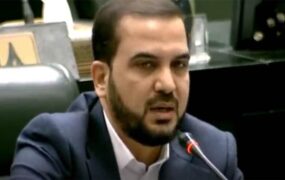 نماینده مجلس ویلموتس