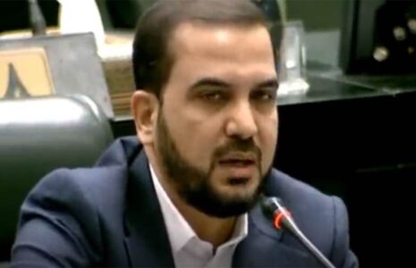 نماینده مجلس ویلموتس