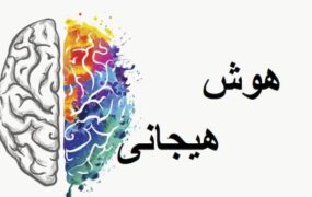 هوش هیجانی
