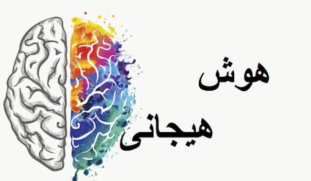 هوش هیجانی