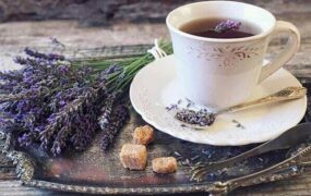 گیاه خواب‌آلودگی