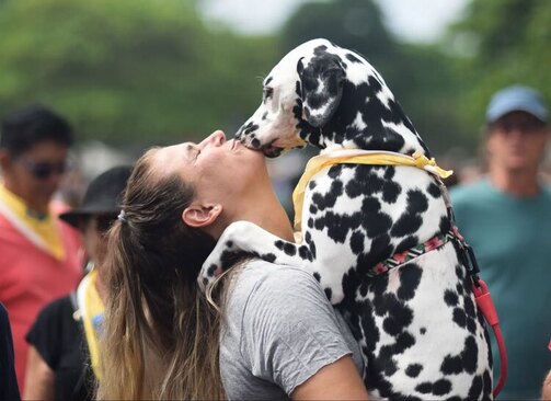 دیدنی های امروز؛ از وضعیت زلزله زده ها تا بزرگ ترین مجسمه مرمری بودا کارناوال سالانه سگ ها در شهر ریودوژانیرو برزیل