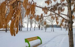 برودت هوا بوستان کوهسار را تعطیل کرد