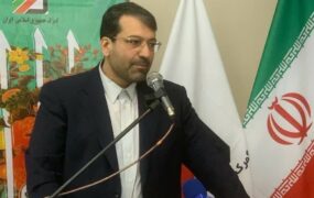 رئیس گمرک ایران