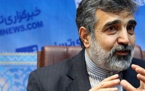 سخنگوی سازمان انرژی اتمی