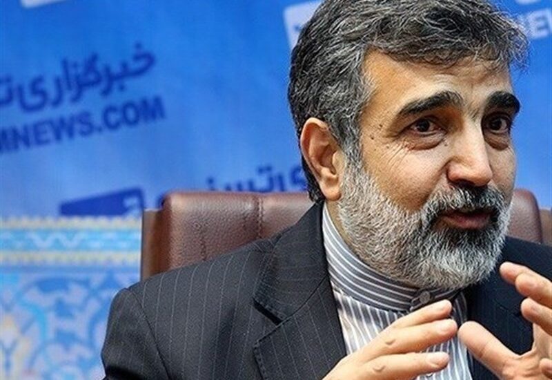سخنگوی سازمان انرژی اتمی