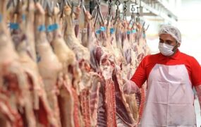 قیمت گوشت
