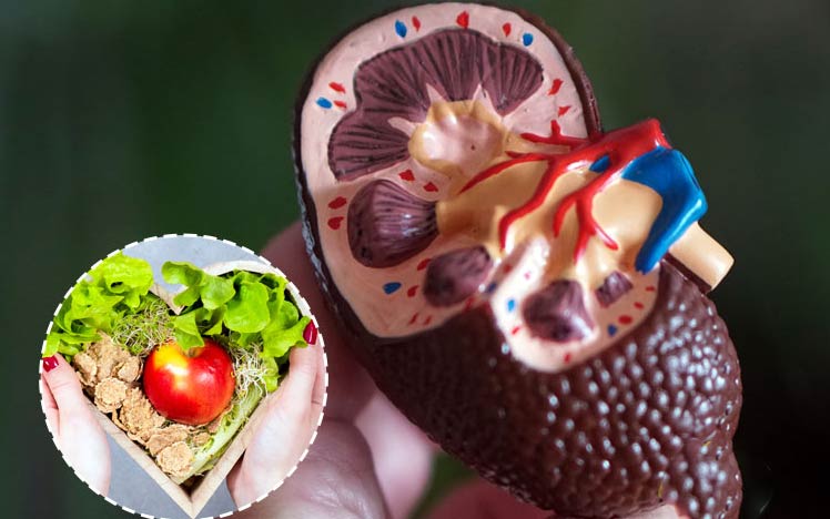 تغذیه‌ای بیماران دیالیزی