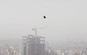 هوا برای گروه‌های حساس آلوده شد