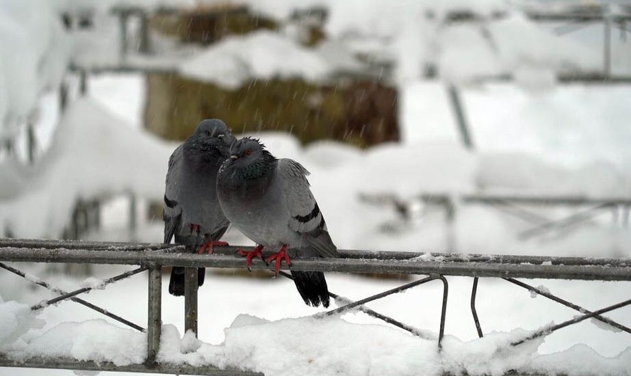 هوای تهران