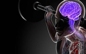 ورزش شدید کوتاه بهترین اثر را روی مغز دارد