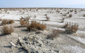 کویری به نام میانکاله!