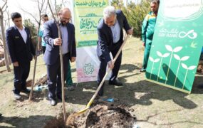 1000 نهال همدلی بانک دی کاشته شد