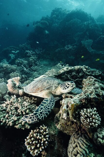 عکاس: سرژ ملسان