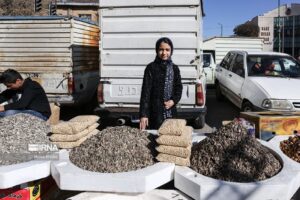 تصاویری زیبا از نان آوران کوچک