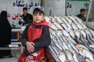 تصاویری زیبا از نان آوران کوچک