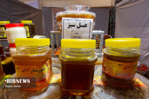 اولین جشنواره زنبورداری، عسل و فرآورده ها
