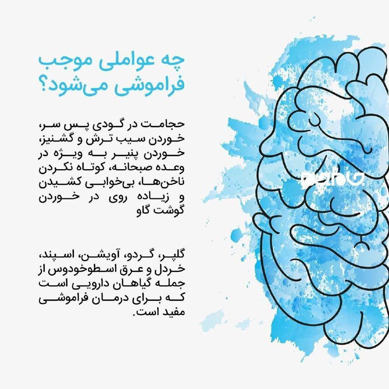 عواملی که موجب فراموشی می‌شود؟