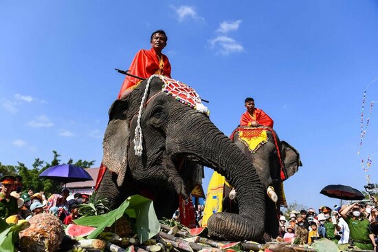 دیدنی های امروز؛ از جشنواره فیل ها تا انباشت زباله در شهر پاریس جشنواره فیل ها در ویتنام