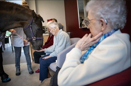 یک خانه سالمندان در "اورنانس" فرانسه