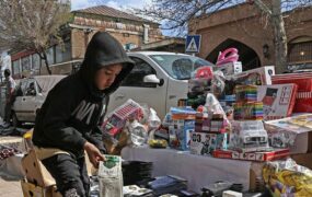 تصاویری زیبا از نان آوران کوچک