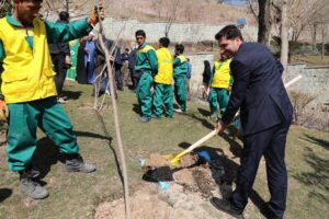 1000 نهال همدلی بانک دی کاشته شد