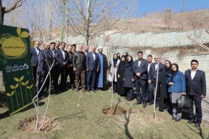1000 نهال همدلی بانک دی کاشته شد