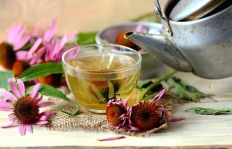 دمنوش‌های مفیددر ماه رمضان
