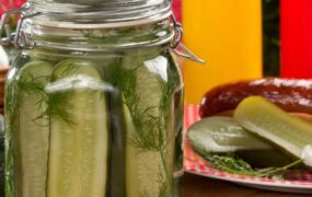 روش نگهداری خیارشور
