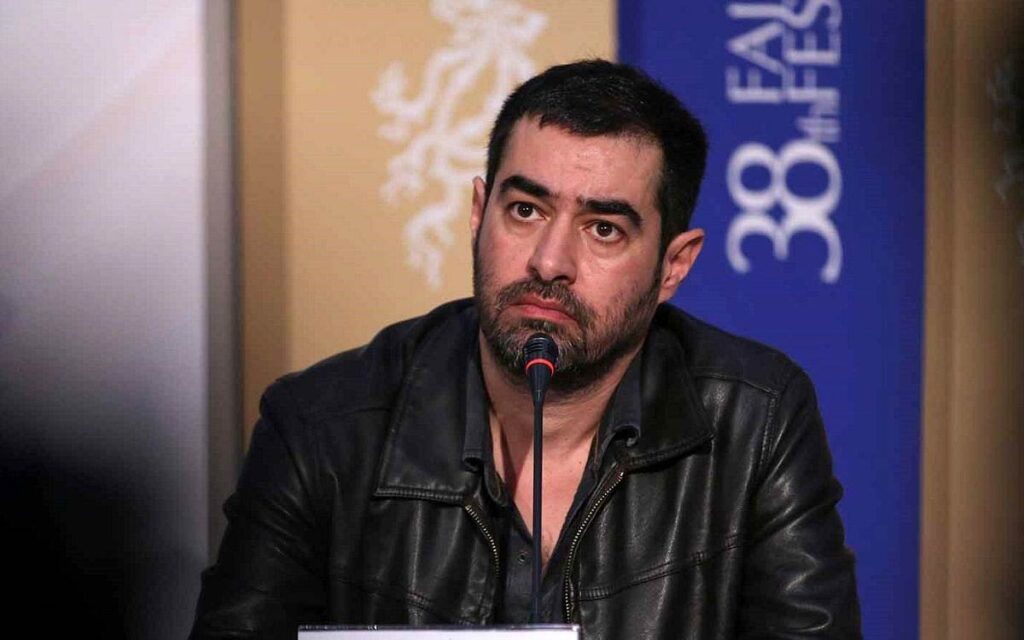 شهاب حسینی
