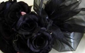 عروسی که تبدیل به عزا شد