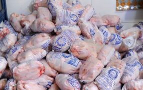 قیمت مرغ