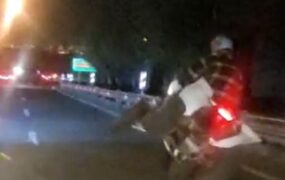 موتور سواری هیجان‌انگیز در بزرگراه یادگار امام
