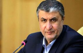محمد اسلامی، رئیس سازمان انرژی اتمی