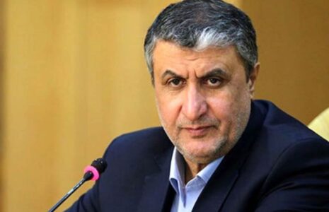 محمد اسلامی، رئیس سازمان انرژی اتمی